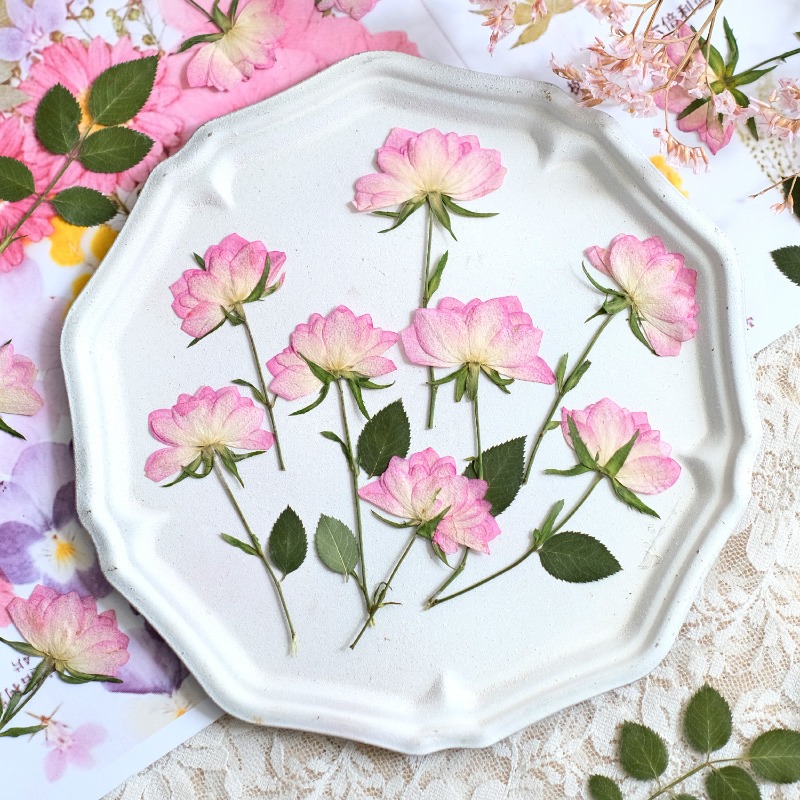 Resin Art Baby - 12 ชิ้น, ดอกไม้แห้งอัดแท้สำหรับตกแต่งเคสโทรศัพท์ DIY, กุหลาบสีชมพู, อุปกรณ์งานฝีมือเรซิน