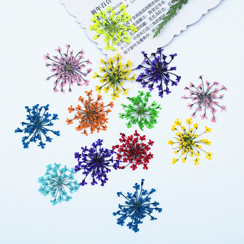 ดอกไม้ลูกไม้ 500 ชิ้น ดอกไม้แห - Resin Art Baby บทวิจารณ์และราคา